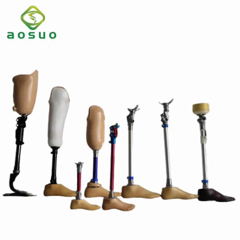 Manufacture Prosthesis Leg Artificial Lower Limbs Implants Prosthetic Leg Prosthesis